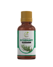 Rosemary Essential Oil: Harness the Power of Pure and Organic Rosemary